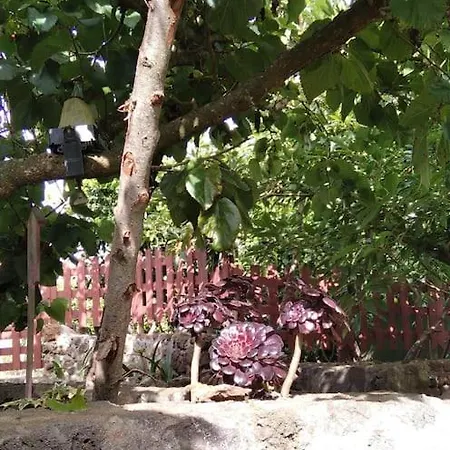 Rural House For Relaxed Holidays, Serreria 25 Tacoronte