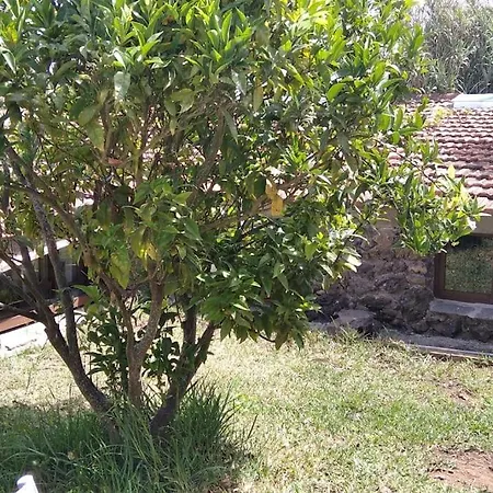 Rural House For Relaxed Holidays, Serreria 25 Tacoronte