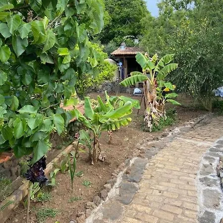Rural House For Relaxed Holidays, Serreria 25 * Tacoronte