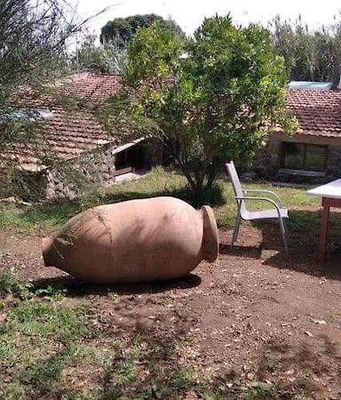 Rural House For Relaxed Holidays, Serreria 25 * Tacoronte